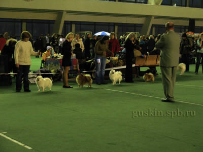  Best in Show 