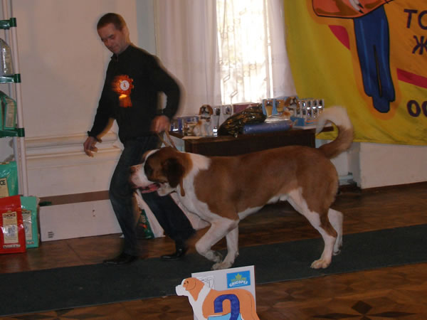     , 13  2007 .   .