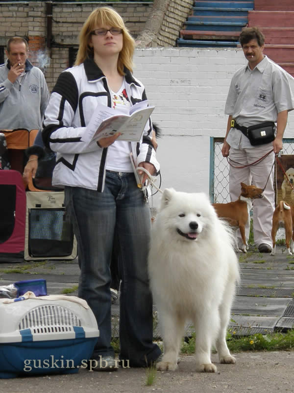   -2008