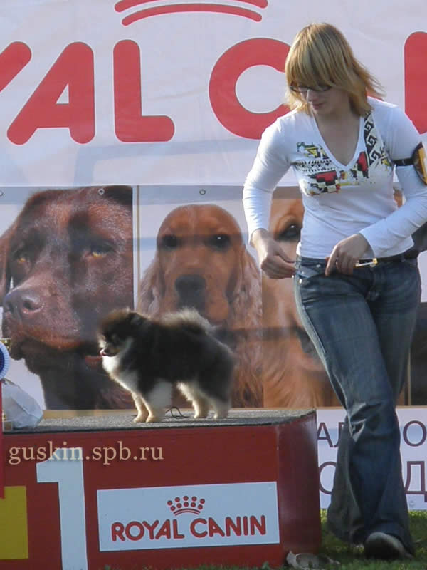  -2008:   