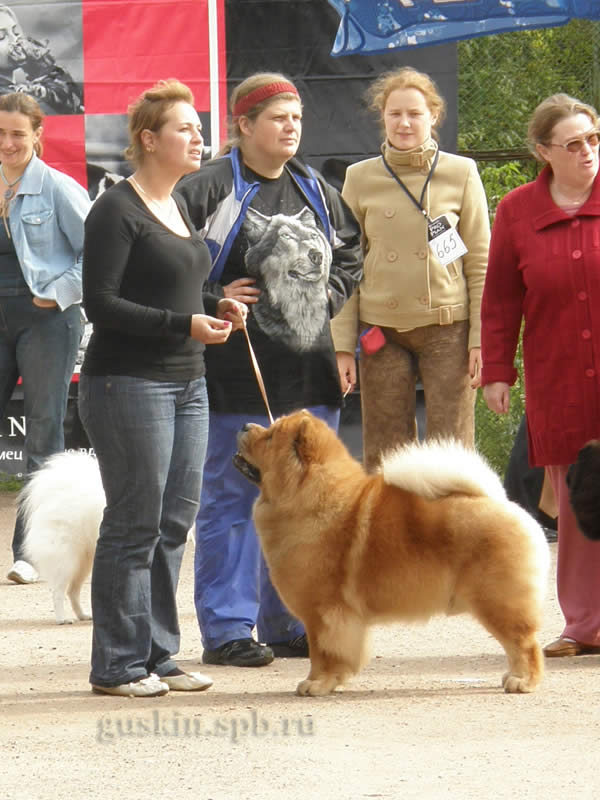  -2008