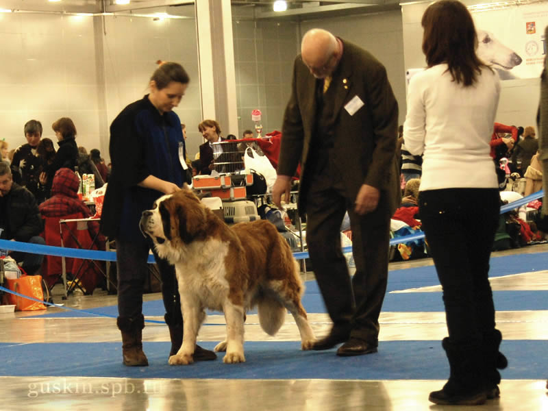 -2009-1 -   - ,   - HJORRINGGAARDS JOYCE (, CW, , CACIB);  KARL REISINGER ()