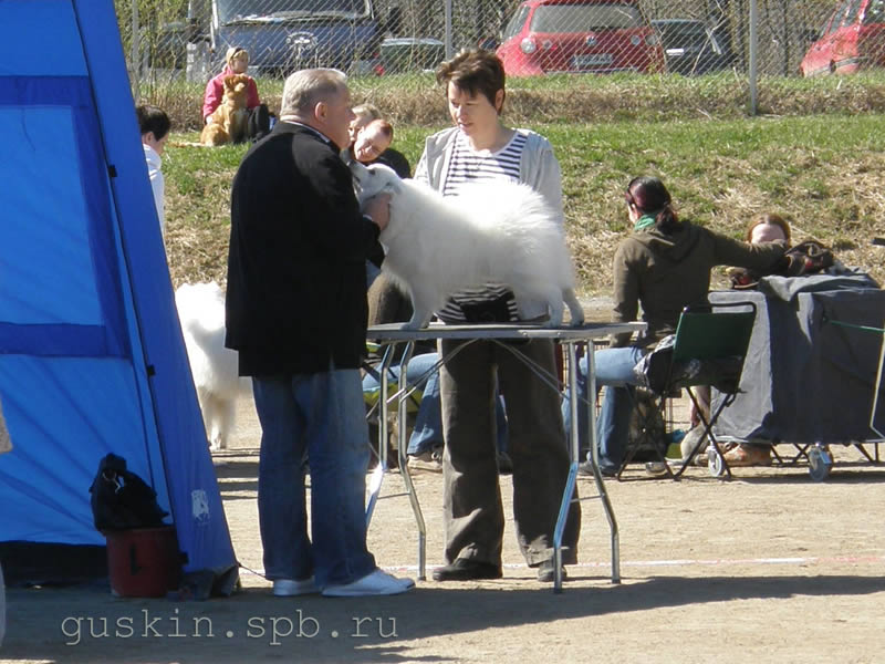 -2009