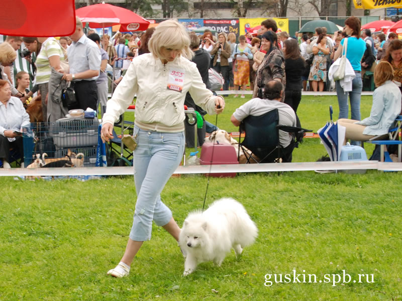  2009-1:  , ,  , Baltik Lain Tsarevich Yuki, CW, RCACIB
