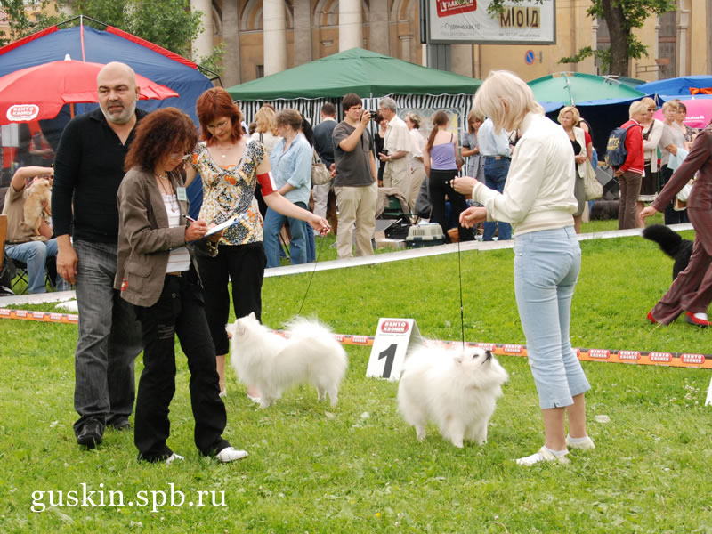   2009-1:  , ,   , CACIB