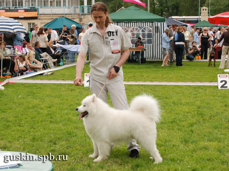   2009-1:  , ,  , Belyi Volk Lel, CW, RCACIB