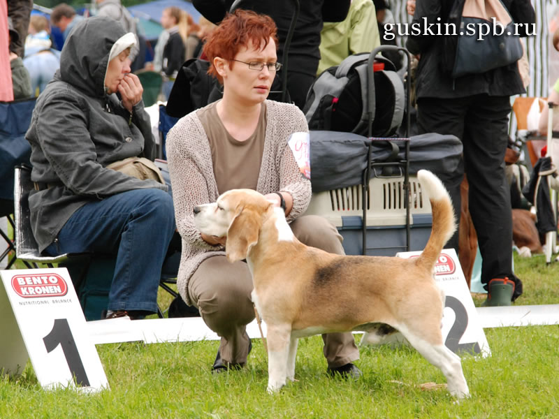   2009-2: , ,  , Clarion Cameo Magic Man, CW, , CACIB, 