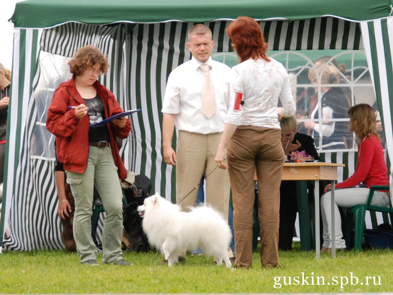   2009-2:  , ,  , Agrarium Perfekt Pejk, CW, CACIB,     