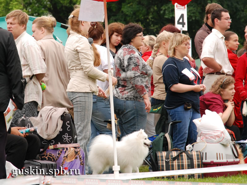   2009-2:  , Agrarium Perfekt Pejk   
