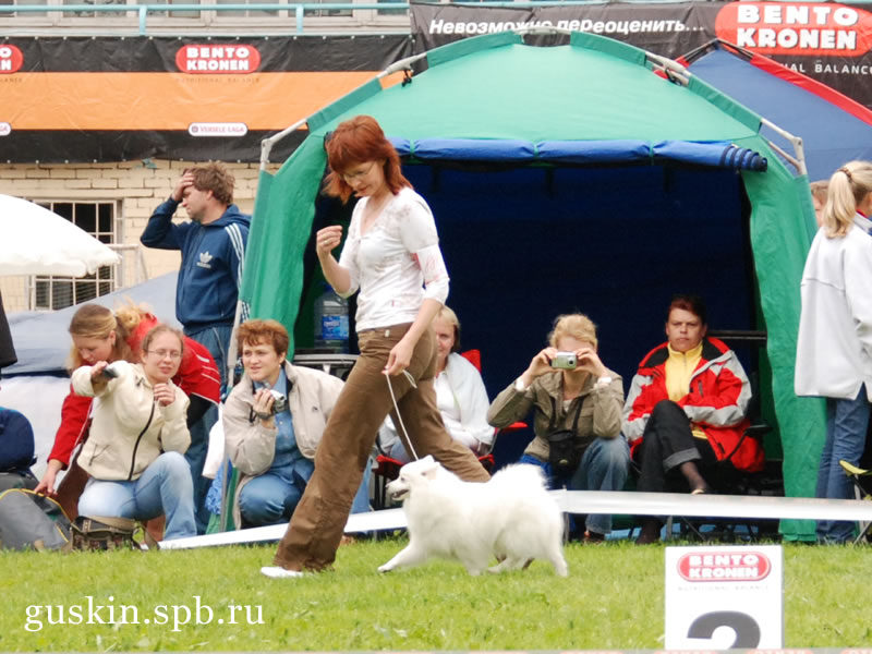   2009-2:  , ,  , Agrarium Peppar Parla, CW, CACIB