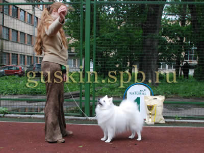 Best in show:   Agrarium Qiabel Of Accel.