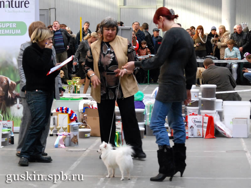    .  Elzbieta Augustiniak ().