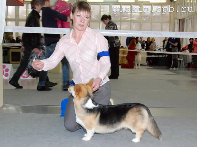   - «-», 6  2011 .  Anneli Sutela. - . - . ,  . RUS GLAMUR DOLGOZHDANNAYA RADOST, -2, R.CW, .
