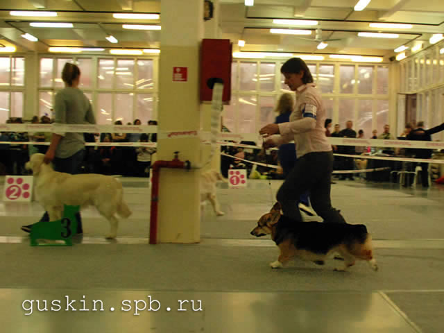   - «-», 6  2011 .  Anneli Sutela. - .   . ,  . RUS GLAMUR GRAND PRIX, -4.