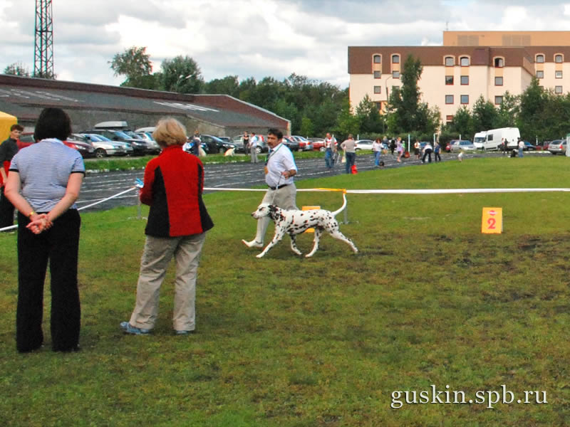   –2009,  Flinkvild Brendy Cup ()