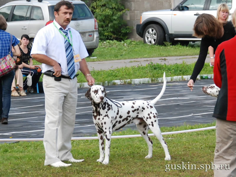   –2009,  Flinkvild Brendy Cup ()