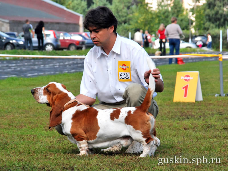   –2009, -, ,  ,   ()