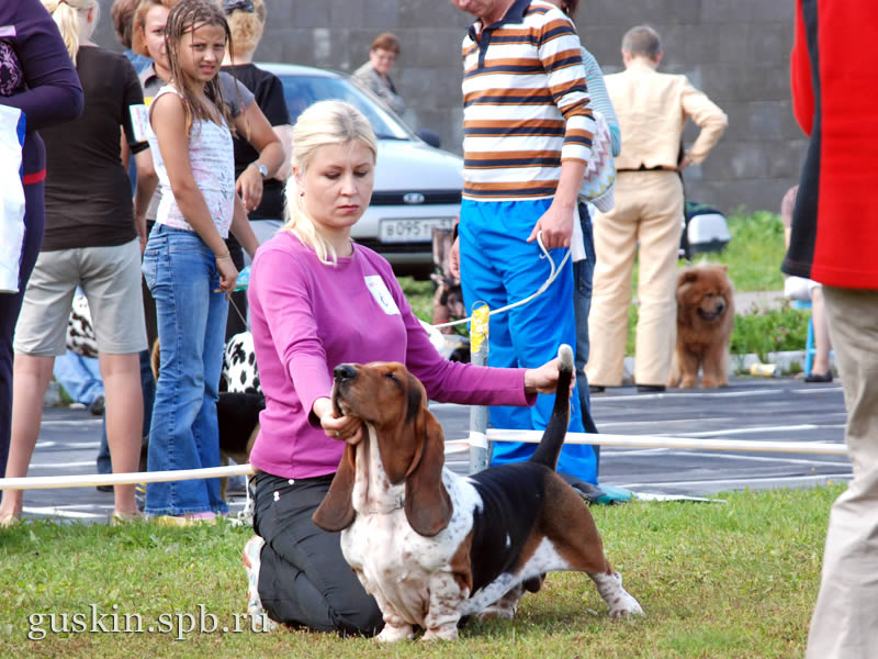   –2009, -, ,  , Fantadrom Bentley For Alla