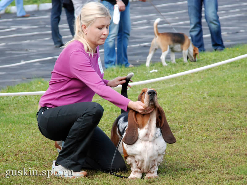   –2009, -, ,  , Fantadrom Bentley For Alla