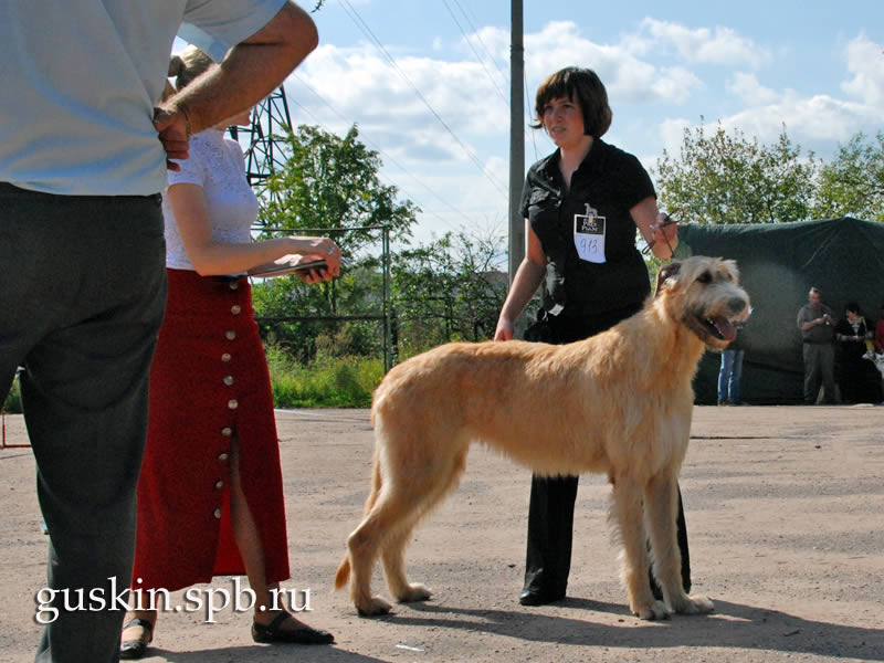  –2009,  , ,  , Vesennyaya Fantazia Iz Volshebnogo Lesa ()
