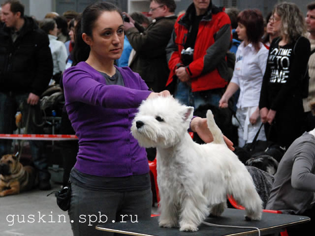        , 20  2011 .  Branislav Ragic (). ,  , Ezhen Bon Enfant Iz Baltiyskoy Peny, -1, , -2.