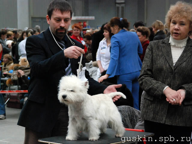        , 20  2011 .  Branislav Ragic (). ,  , Lets Go To The Top Von Deipen Brook, -1, .