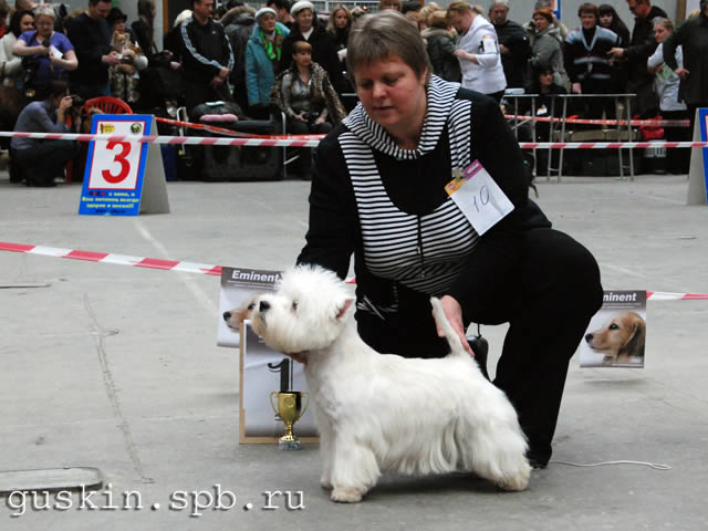        , 20  2011 .  Branislav Ragic (). ,  , Stars factory Yaromir.