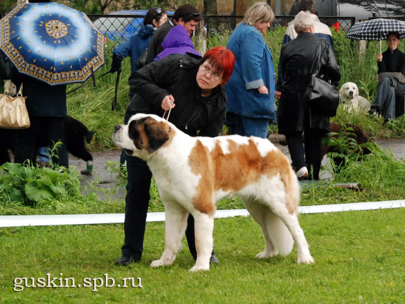  -1, 12  2010.   Saint Verna Amazing Kira, ,  . .