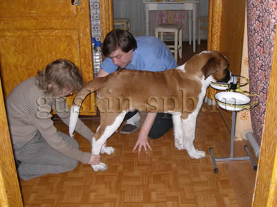 2  2006.   .