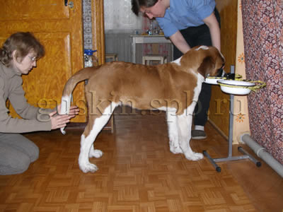2  2006.   .