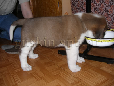 8  2006.    ,       .