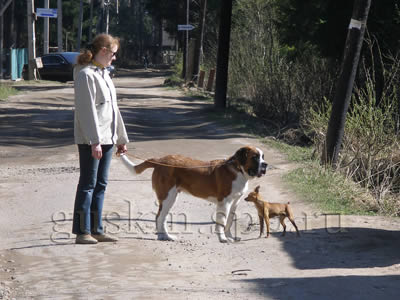 7  2006