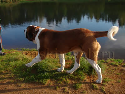  2006